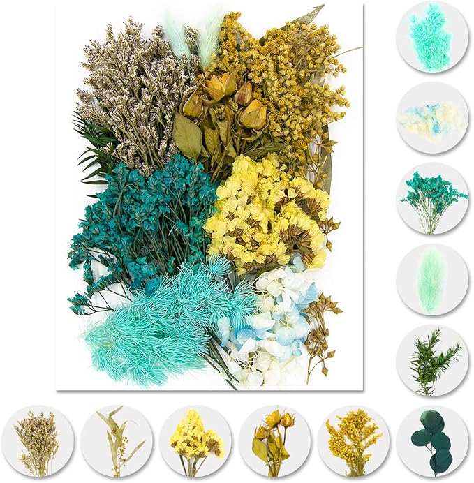 Vignee Real Dried Pressed Leaf Flowers-Multiple Colorful Pressed Flowers Daisies by Vignee
