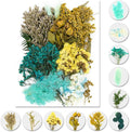 Vignee Real Dried Pressed Leaf Flowers-Multiple Colorful Pressed Flowers Daisies by Vignee