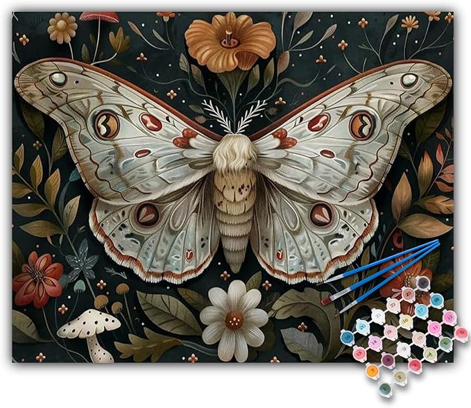 Offito Paint by Numbers Kit for Adults by Offito