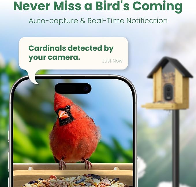 Smart Bird Feeder Camera with Solar Panel, Bamboo | 2.5K UHD, AI Identification - Image 2