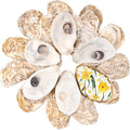 30Pcs Flat Oyster Shells for Crafts, 3-4 Inch Cleaned Natural Oyster Shells for by LAMIVORA
