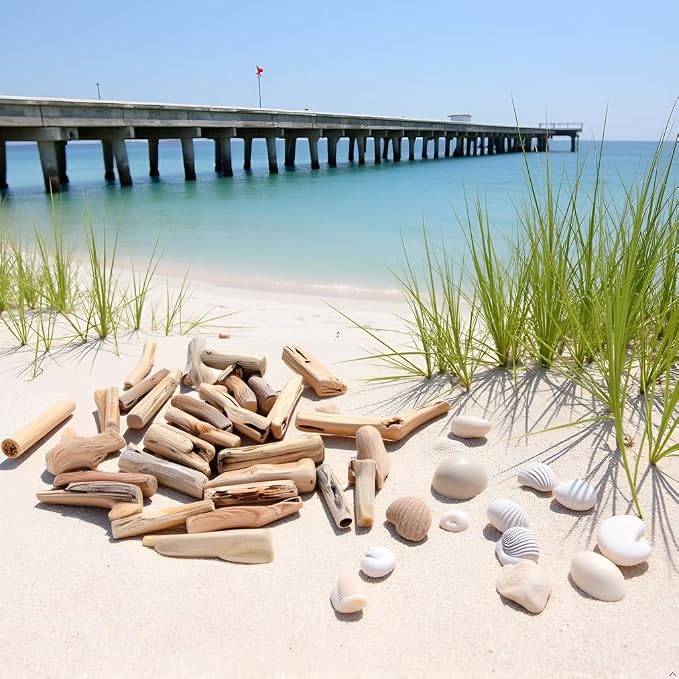 20 Pcs Natural Driftwood Pieces - Image 2