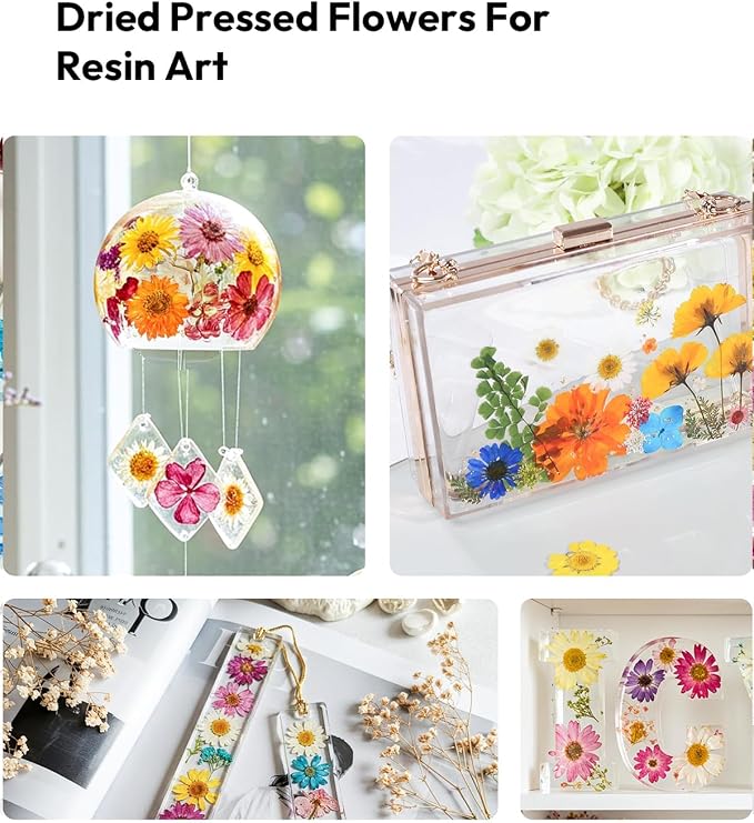 Dried Flowers, Resiners 100Pcs Pressed Flowers - Image 7