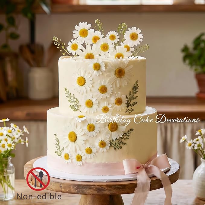 48 Pcs Natural Dried Pressed Daisy Flowers - Image 3