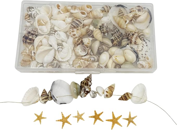 yaokan Natural Sea Shells & Starfish Set, Drilled Beach Shells | DIY Crafts - Image 4