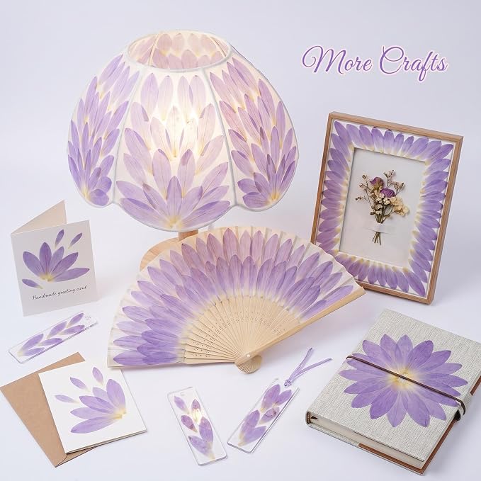 48 Pcs Mix Natural Dried Pressed Water Lily Petals - Image 7