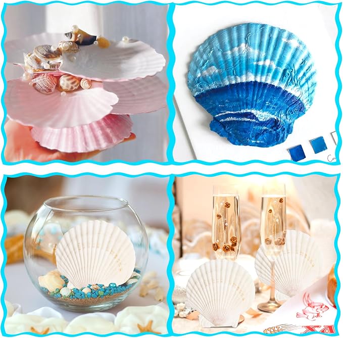 8 PCS Clam Shells for Crafts, Large Seashells for Crafts, Themed Party and Home - Image 5