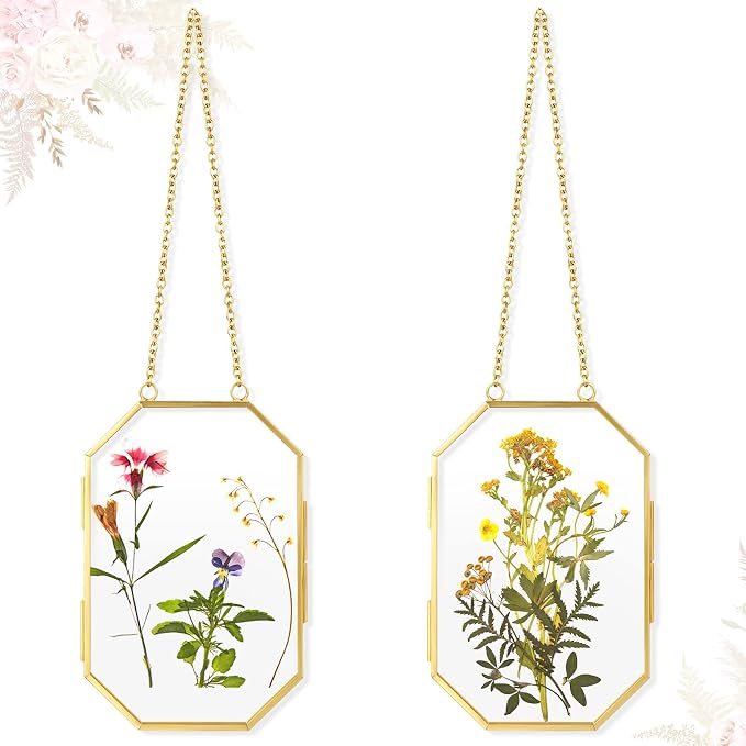 Qunclay 2 Pcs Double Glass Frame by Qunclay