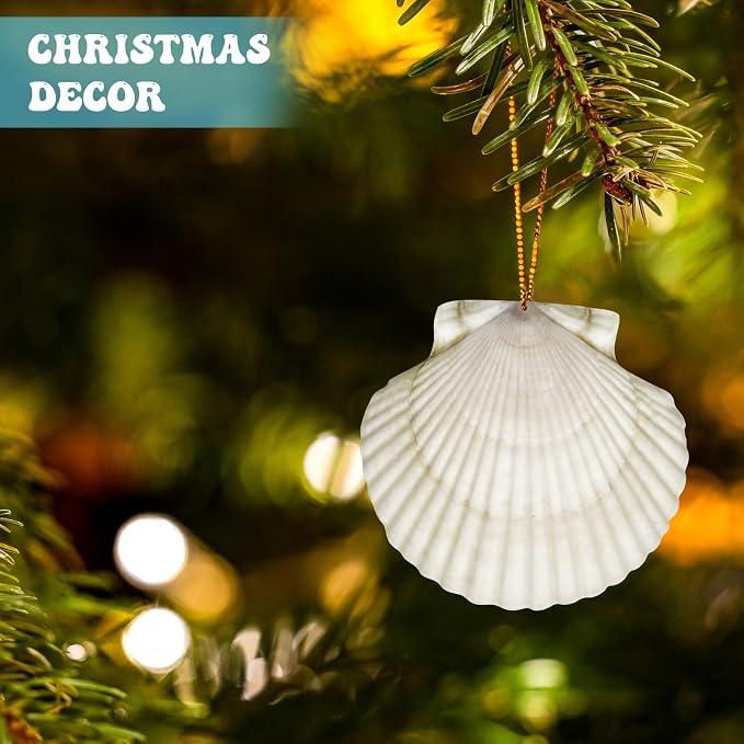 25 Pcs Large Scallop Shells for Crafts 4''-5'' White Scallop Shells Large - Image 6
