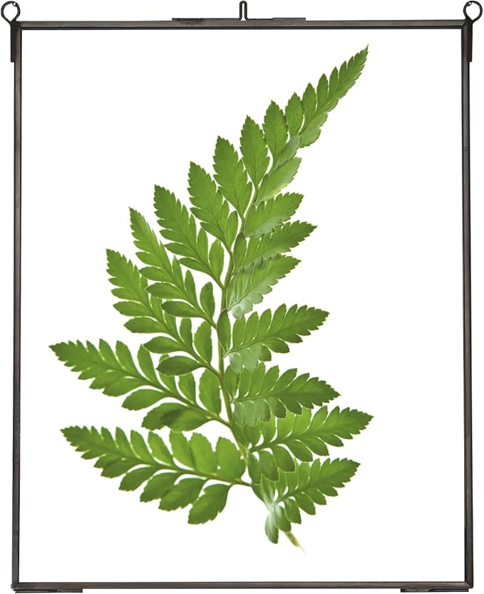 REDHUGO Hanging Pressed Flower Frames, Double Glass Floating Picture Frame - Image 9