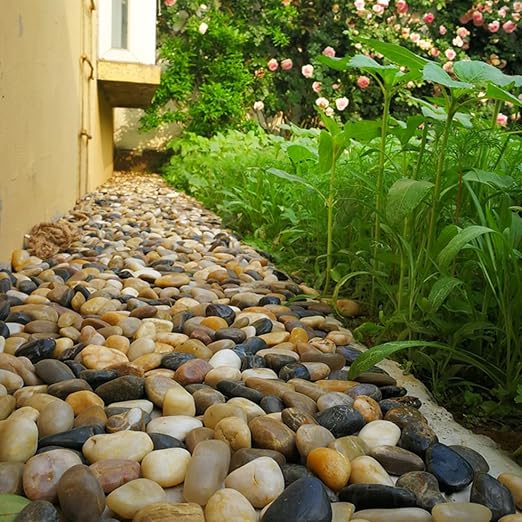 YISZM 5lbs Pebbles for Indoor Plants, 2-3 Inch Mixed Color High Polished Large - Image 3