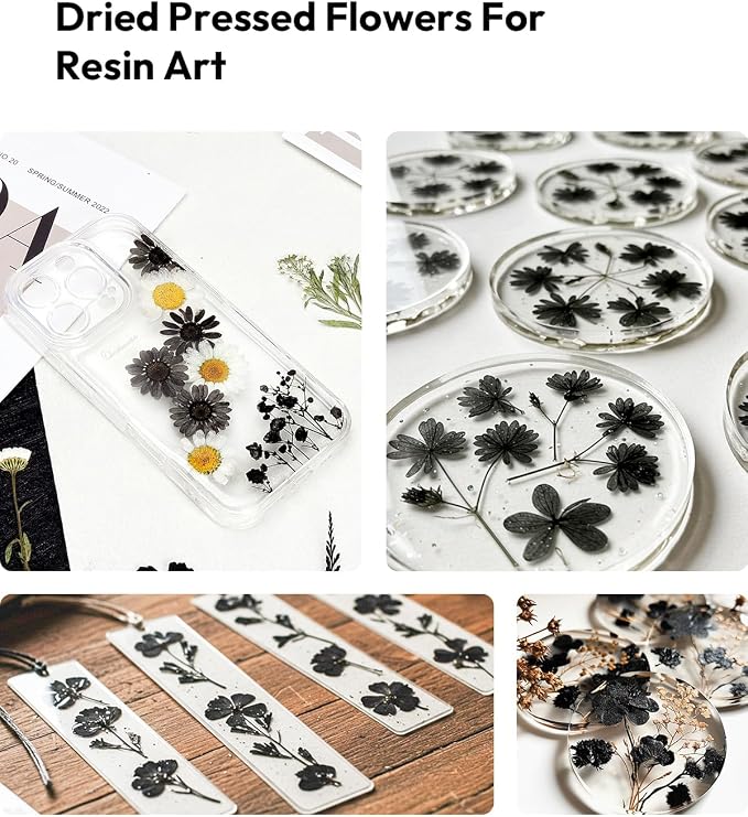 Dried Flowers, Resiners 100Pcs Pressed Flowers - Image 7