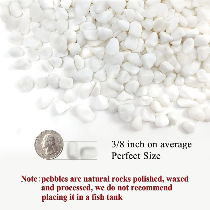FANTIAN White Pebbles for Indoor Plants, 3/8 Inch Decorative White Stones. - Image 2