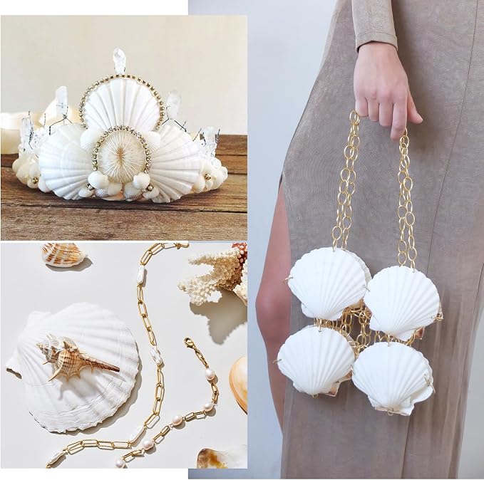 Jangostor 20 PCS Scallop Shells Natural Seashell, 2.3" to 3.5" White Scallop - Image 6
