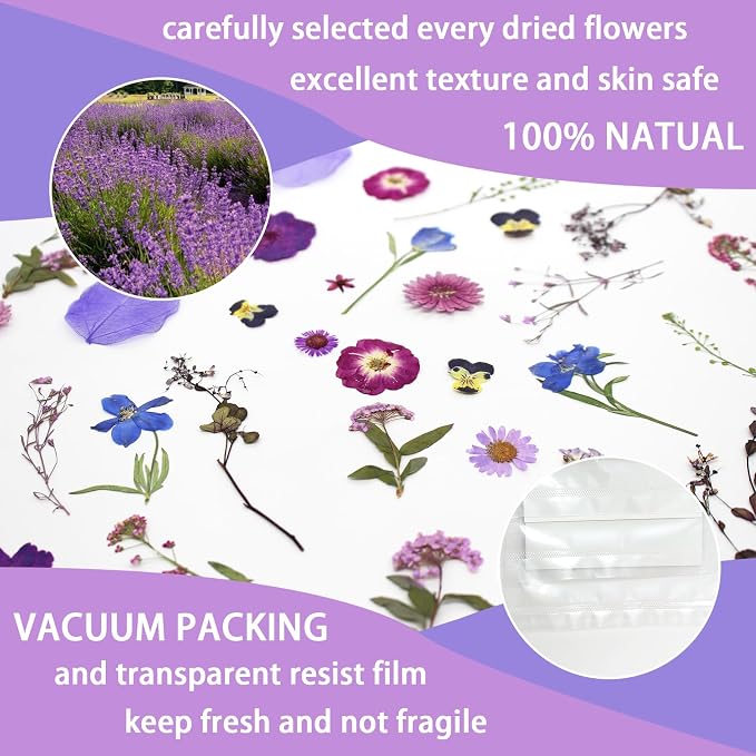 40 Pcs Purple Dried Pressed Flowers Real Natural - Image 3