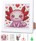 VIGEGU Cross Stitch Kits for Beginners, Salamander Stamped Cross Stitch for by VIGEGU