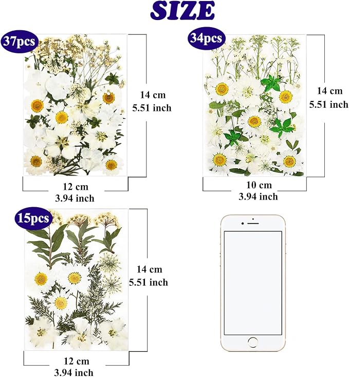86Pcs White Pressed Dried Flowers Real Natural Leave - Image 5