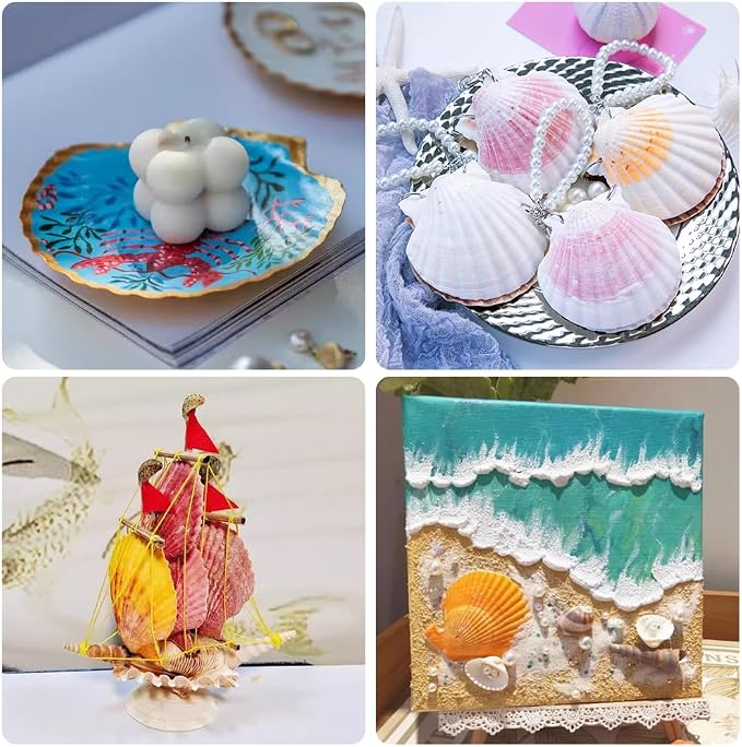 YUJUN 18PCS Large Natural Scallop Shells - Image 8
