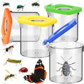 Halloscume 4 Pack Insect Bug Viewer by Halloscume