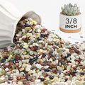 NUPICK 3 lbs Pebbles for Indoor Plants, 3/8 Inch Pea Gravel for Fish Tank by CreateAmazingChoice