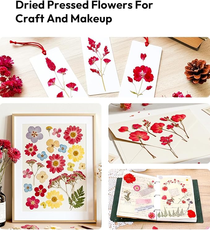 Dried Flowers, Resiners 174Pcs Pressed Flowers - Image 6