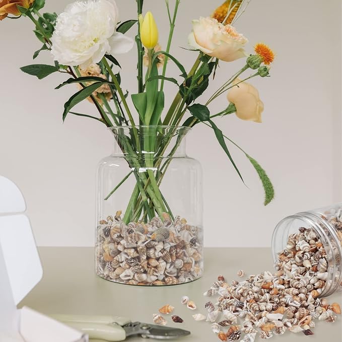 2000 Pcs Tiny Sea Shells for Crafting, Mixed Ocean Beach Mini Seashells Bulk - Image 5