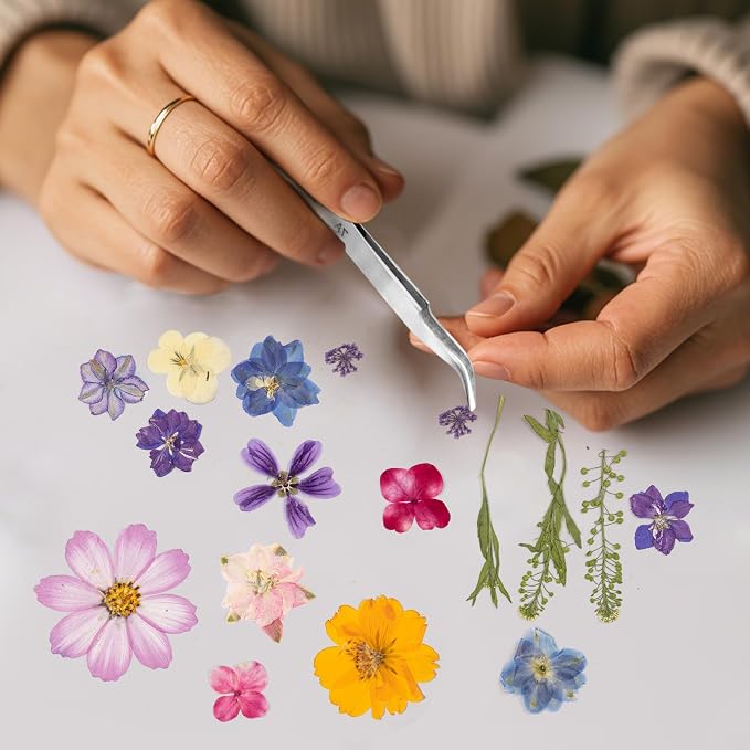 80PCS Spring Large Pressed Flowers Leaves, Real Nature Dry Flowers - Image 7