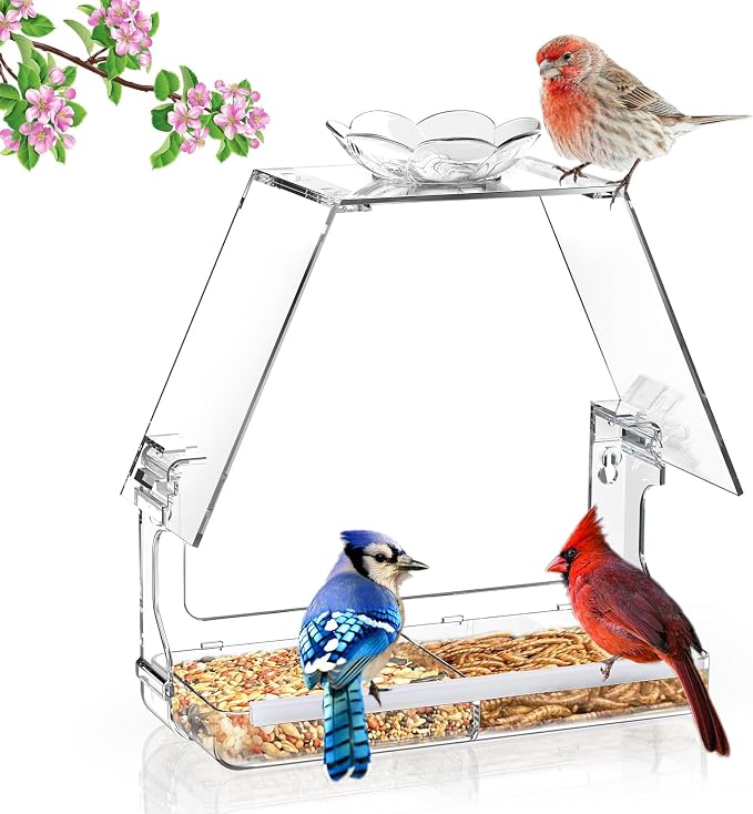 WENMIXER Window Bird Feeder by WENMIXER