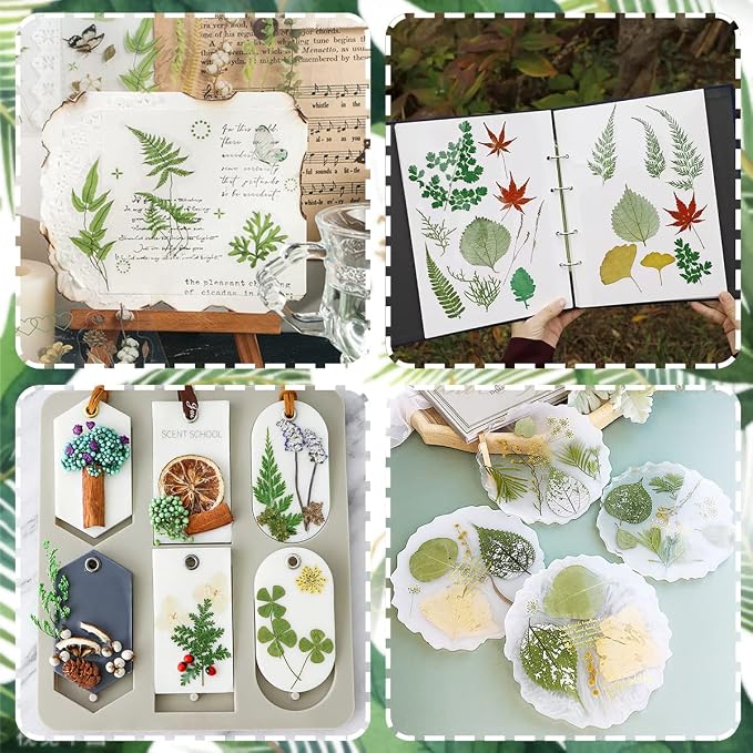 63 Pcs Real Dried Pressed Leaves Natural Assorted Dried Greenery - Image 7