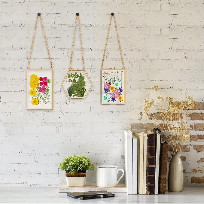 AVLA 3 Pack Pressed Flowers Glass Frames, Brass Hanging Picture Frames - Image 6
