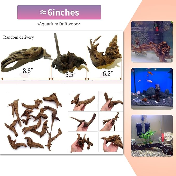 Hamiledyi 5 Pcs Driftwood Branches Aquarium Wood Decoration Natural Fish Tank - Image 3