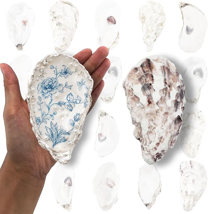 20PCS 4"-5" Large Oyster Shells by Unknown