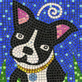 Adult Mosaic Crafts Project Kits: Get Creative and Have Fun, Square 7inch Dog by ALEA+Mosaic