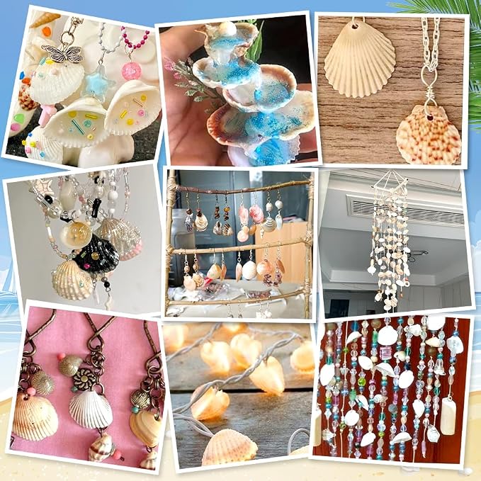 PH PandaHall 40~50pcs Tiny Scallop Sea Shells 24~29mm Ocean Beach Clam Craft - Image 6