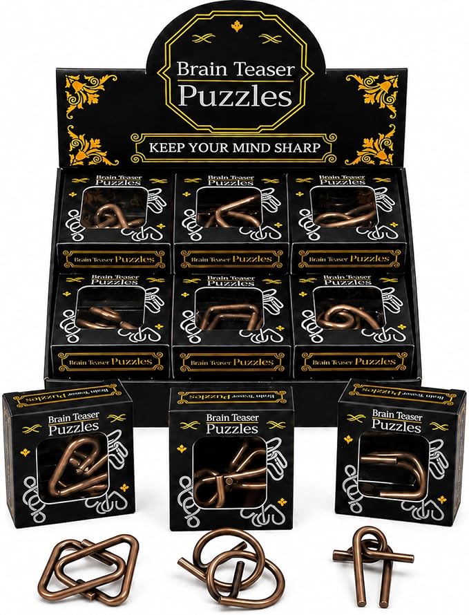 24 Pcs Brain Teaser Puzzles for Kids Teens Adults by Unknown