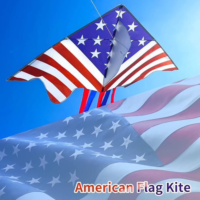 Large Single Line Beach Kite for Adults - Image 2