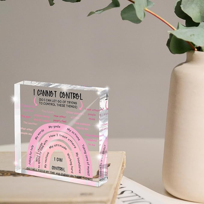 Mental Health I Can Control Decor, 4x4 Inch Pink Acrylic, Women's Therapy - Image 4