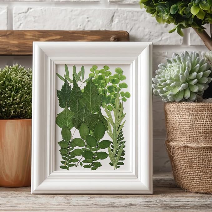 86Pcs Dried Pressed Flowers Leaves - Image 8