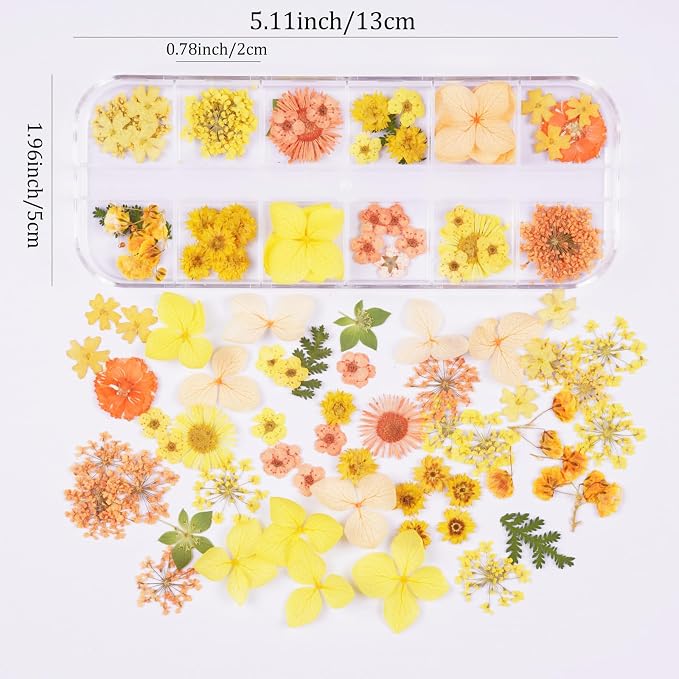 60Pcs Small Dried Pressed Flowers - Image 2