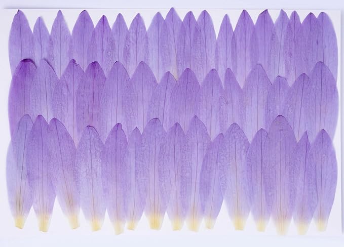 48 Pcs Mix Natural Dried Pressed Water Lily Petals by AHTONG