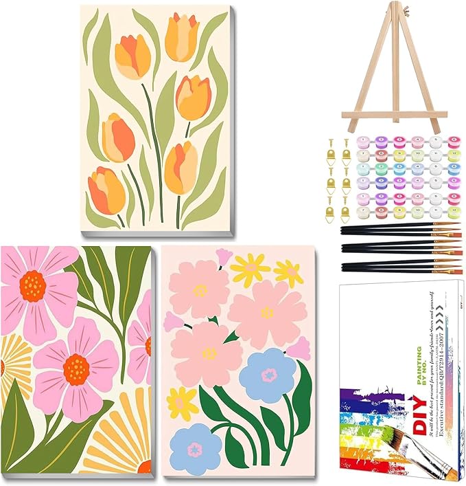 Mandun 3 Pack Paint by Numbers Kit by MANDUN