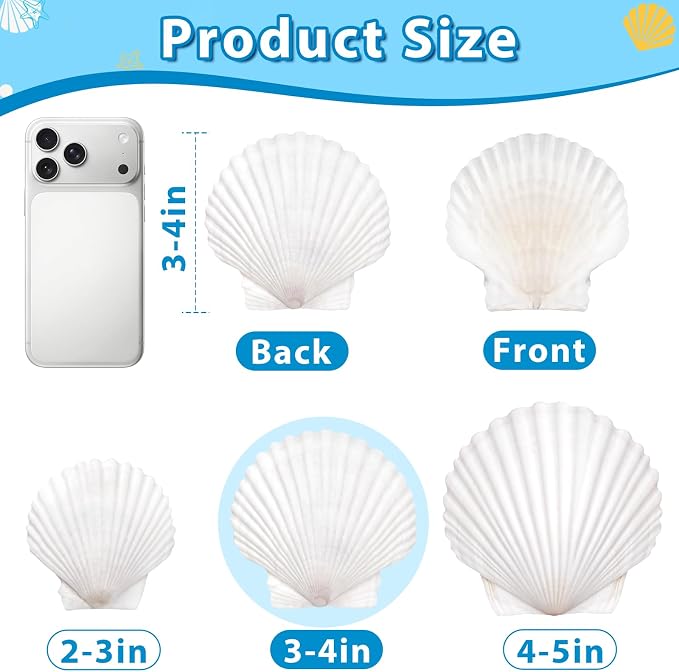20Pcs 3-4 Inch Scallop Shells for Crafts, Natural White Scallop Shells for - Image 5