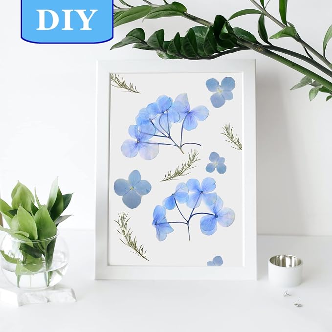 HEISENLIN Blue Dried Pressed Flowers Hydrangea - Image 4