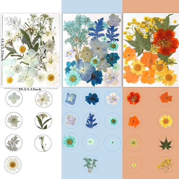180Pcs Dried Pressed Flowers, Natural Dried Flowers Bulk - Image 4