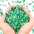QICQDRAM Crushed Shells for Crafts About 1LB Small Natural Crushed Shells Bulk by QICQDRAM