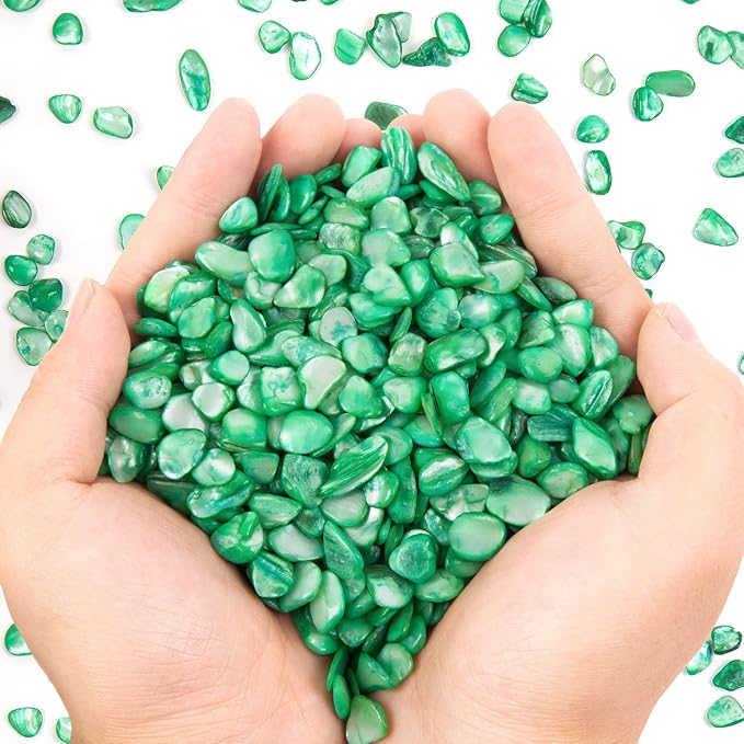 QICQDRAM Crushed Shells for Crafts About 1LB Small Natural Crushed Shells Bulk by QICQDRAM