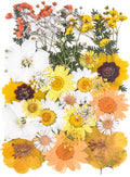 YouthBro Dried Pressed Flowers for Resin Molds, Real Natural Pressed Flowers by YouthBro