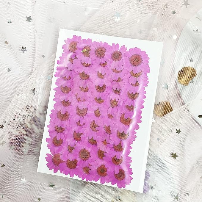 50pcs Natural Dried Daisy Flower, Vacuum Packaging, Pressed Flower - Image 4