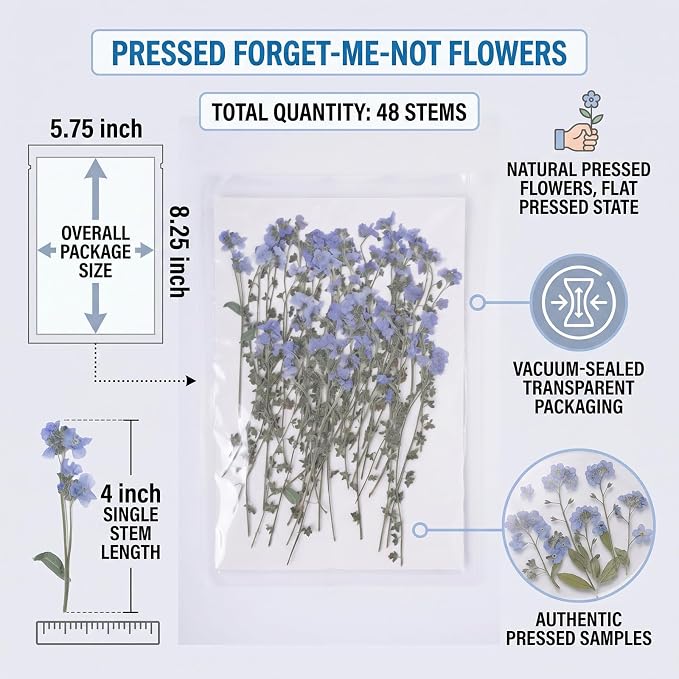 48 Pcs Natural Dried Pressed Forget-me-not Flowers - Image 2