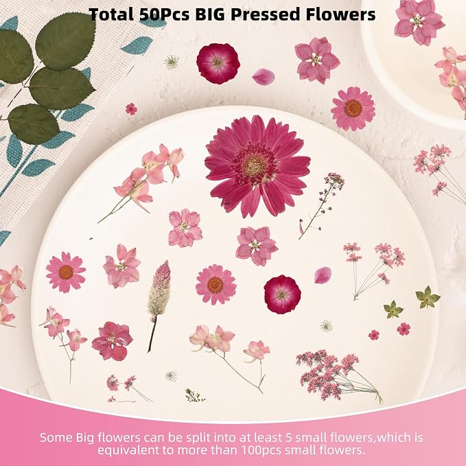12“ Large Bulk Dried Pressed Flowers - Image 4